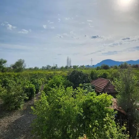 Daire 0100 - Villa, Comfy And Peaceful Ortaca (Mugla)